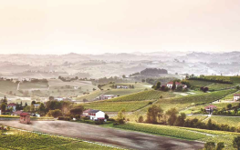 Langhe e Monferrato