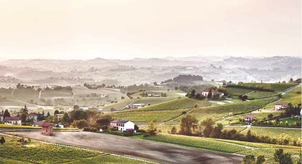 Langhe e Monferrato