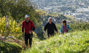 international nordic walking